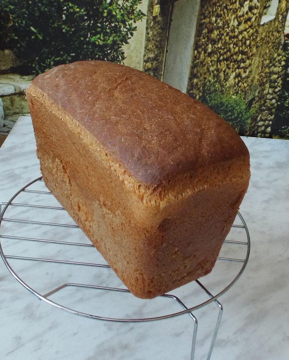Домашний ржано пшеничный хлеб рецепт. Ржано-пшеничный хлеб. Хлеб ржано-пшеничный в духовке в домашних. Ржано-пшеничный хлеб ржано-пшеничный хлеб. Хлеб ржано-пшеничный с дрожжами.