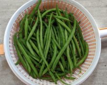 Фасоль