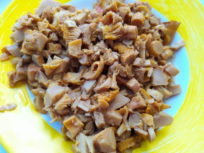 Лисички