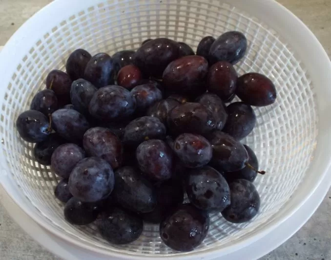 Простой пирог со сливами